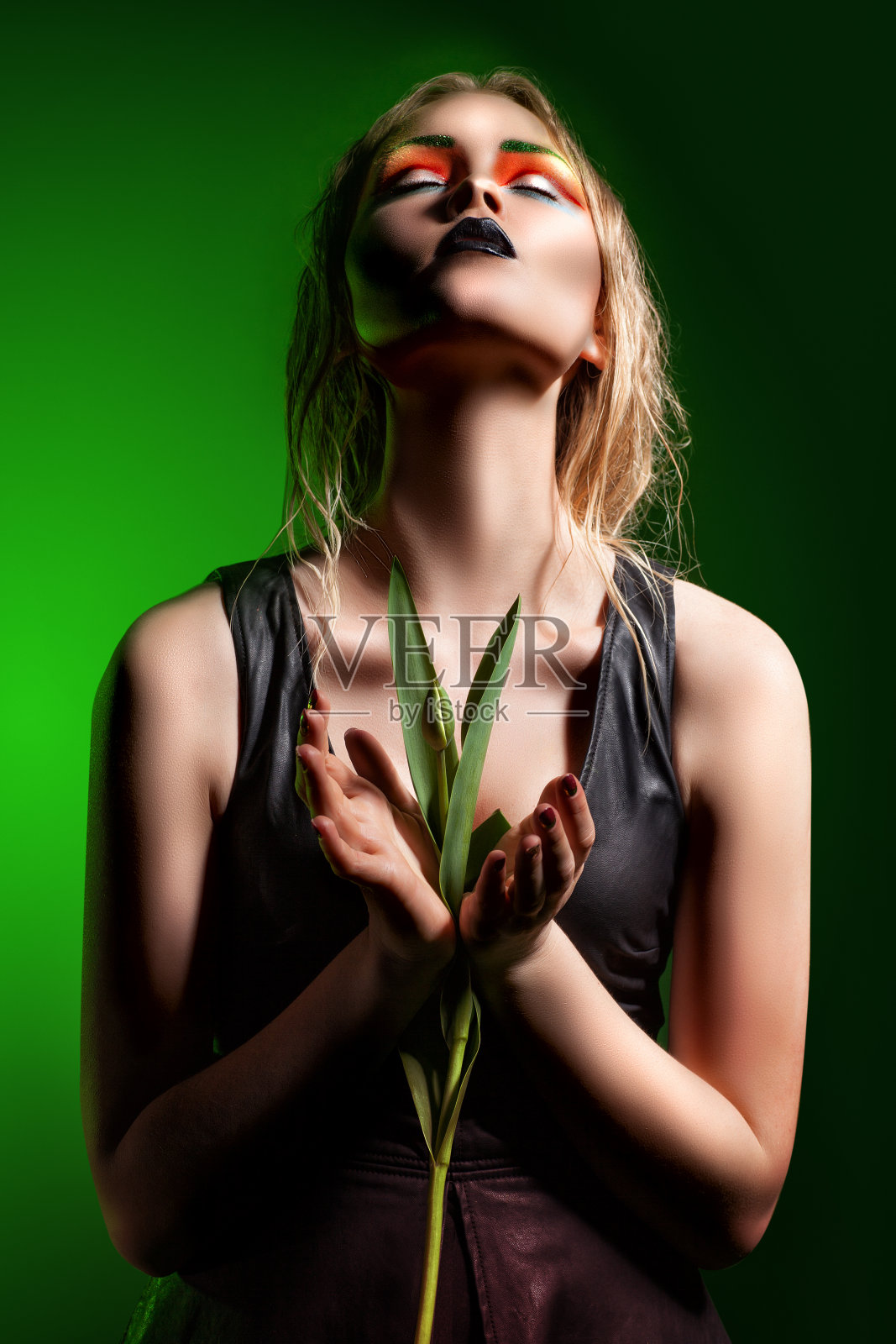 拥有专业妆容和发型的时尚女性照片摄影图片