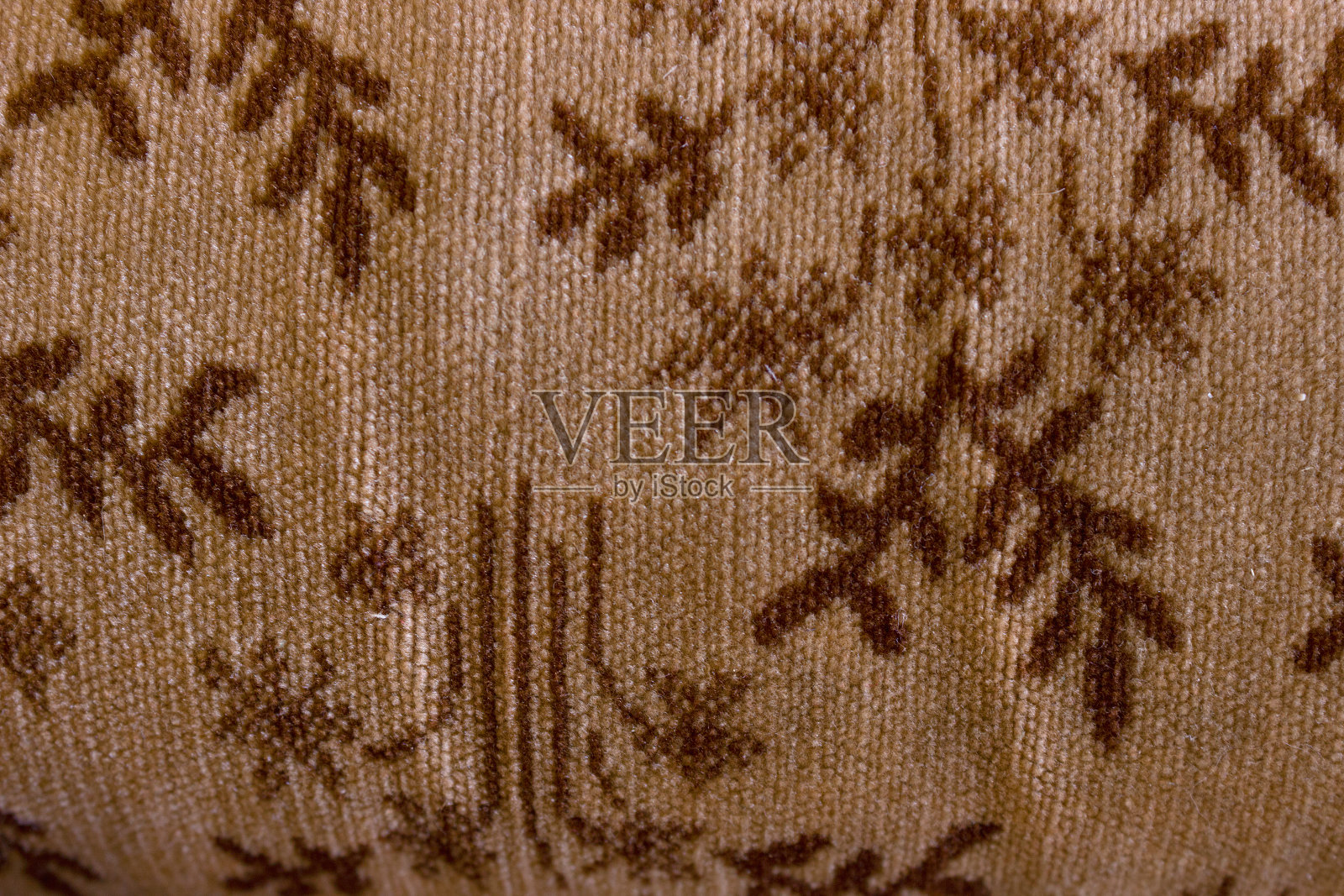 豪华的照片摄影图片