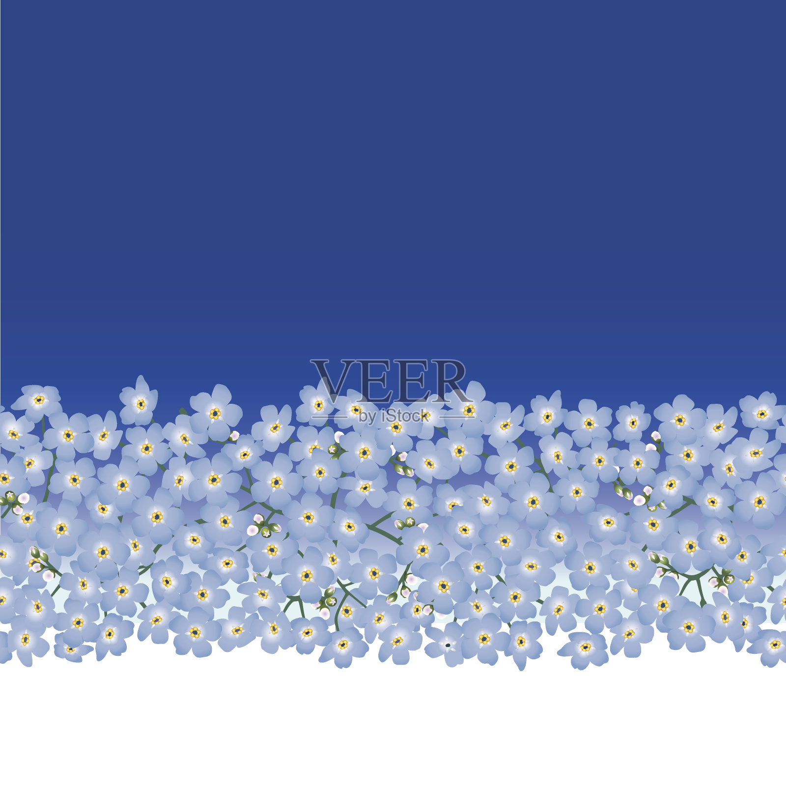 花朵无缝边框纹理。插画图片素材