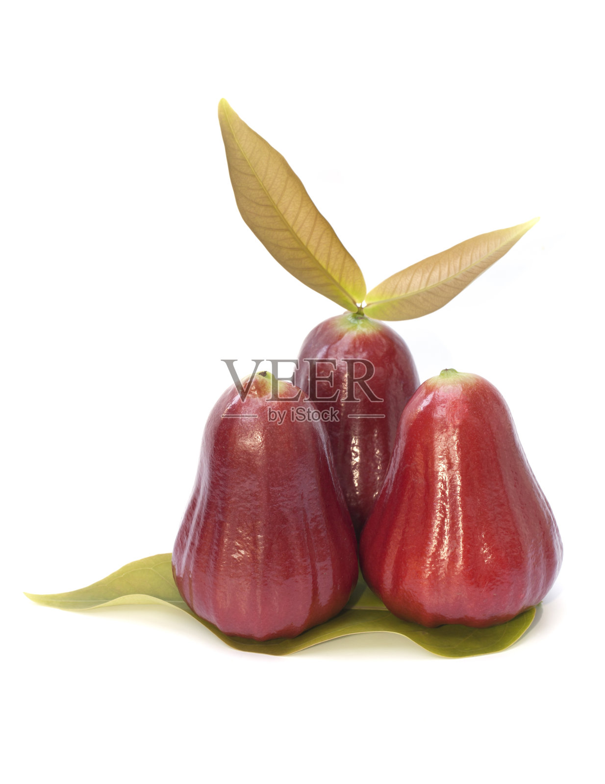 玫瑰苹果孤立在白色的背景照片摄影图片