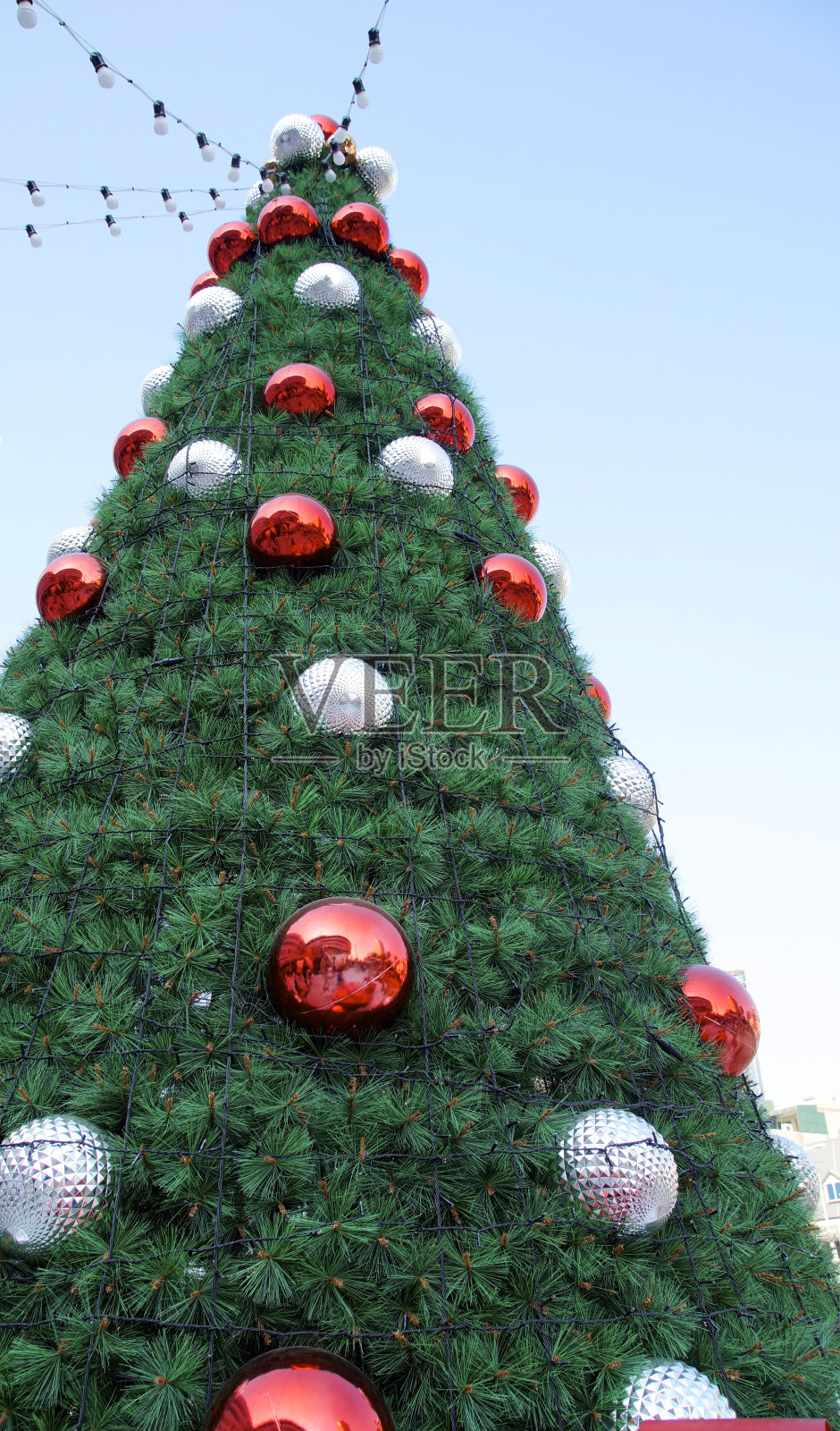 圣诞树照片摄影图片