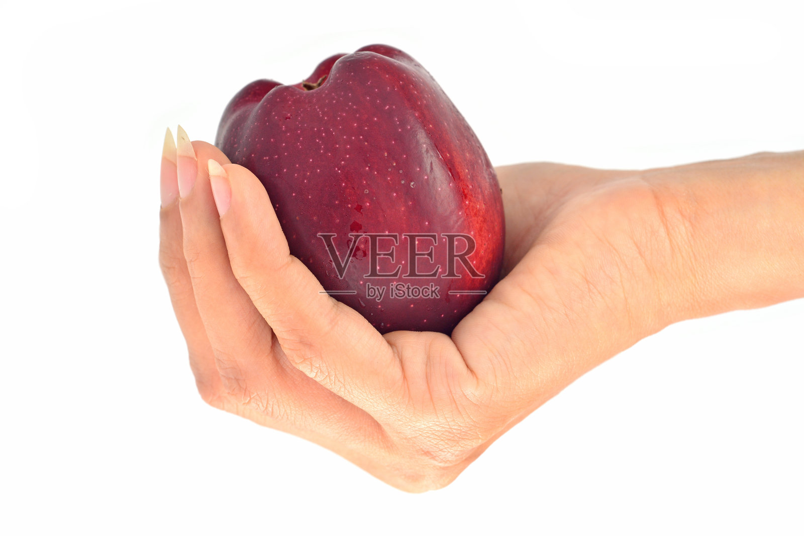 苹果手照片摄影图片