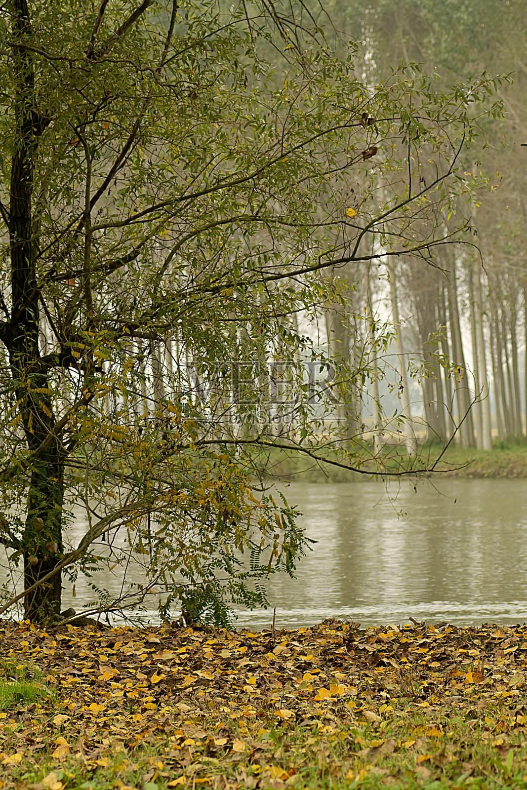 河上的秋天照片摄影图片