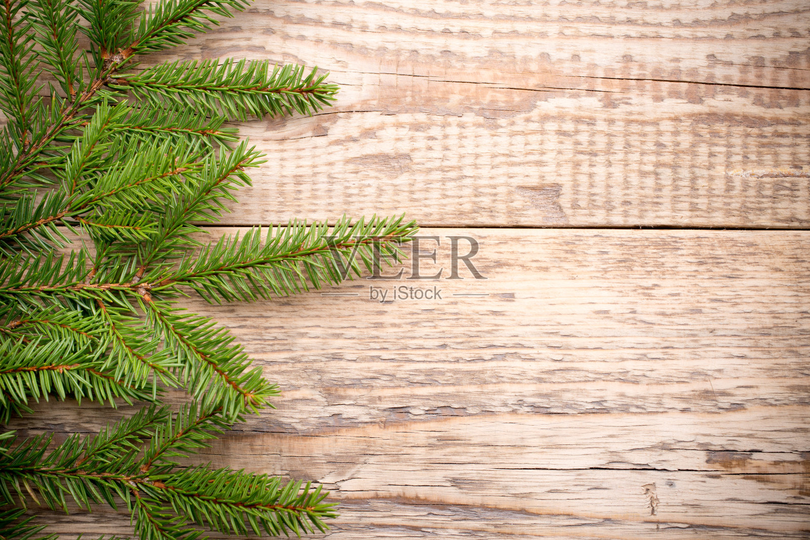 圣诞树。照片摄影图片