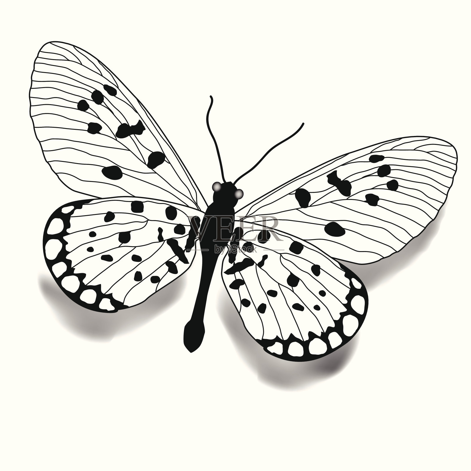 蝴蝶。插画图片素材