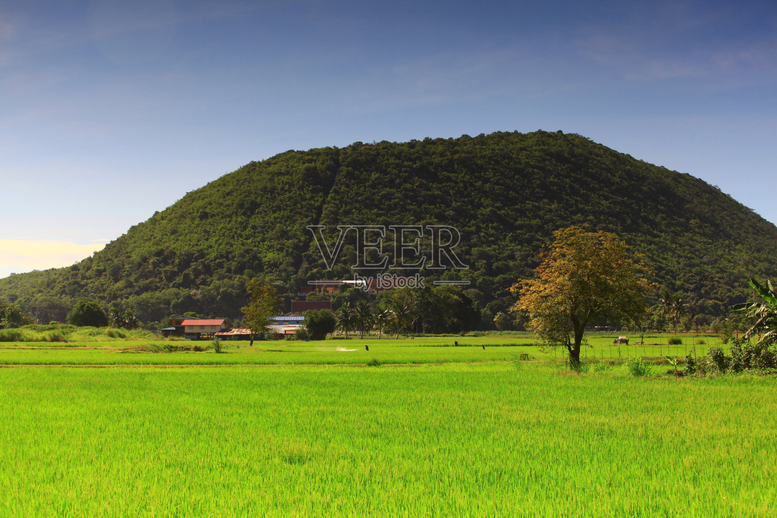 萨帕亚寺庙链照片摄影图片