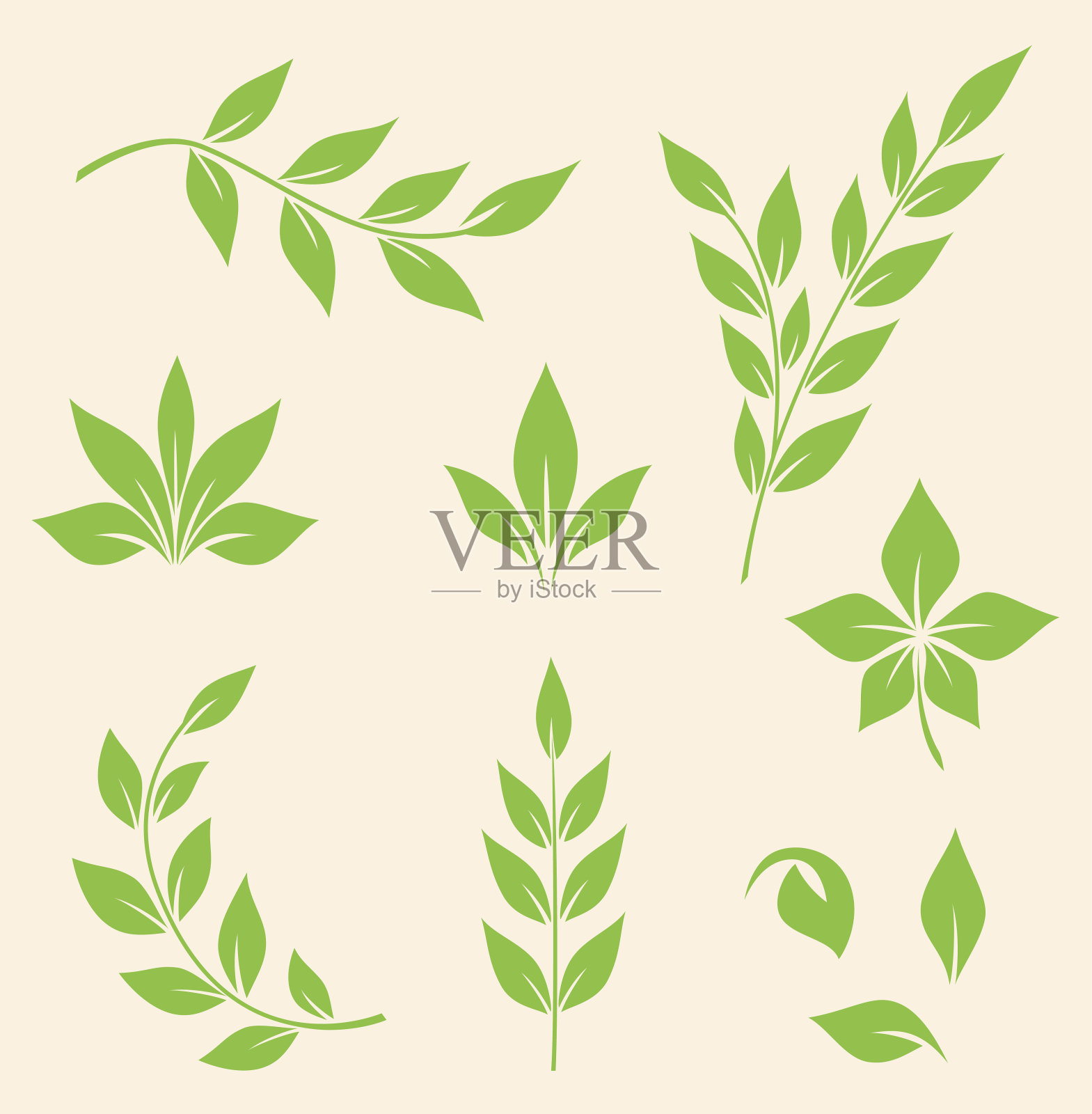 绿色的树叶插画图片素材