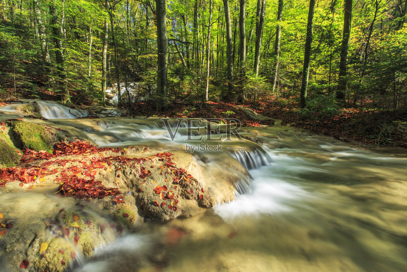 森林里美丽的瀑布照片摄影图片