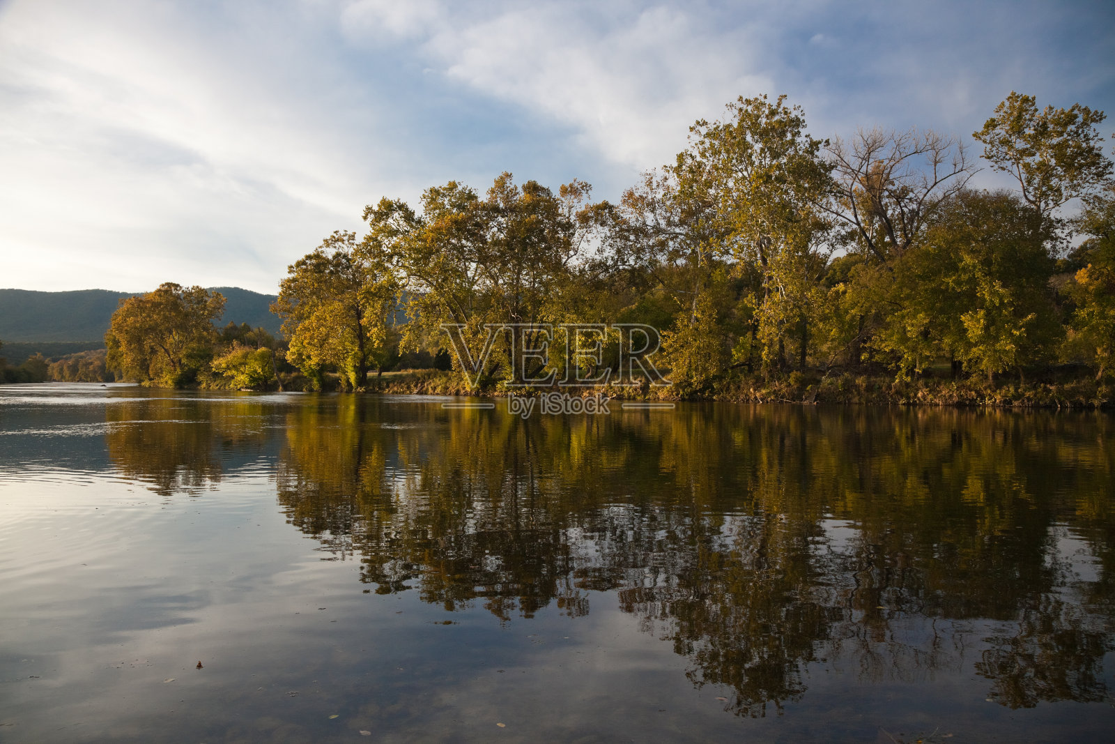 树倒映在雪兰多河照片摄影图片