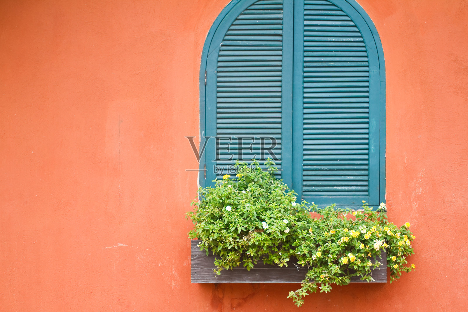 用鲜花窗口。照片摄影图片