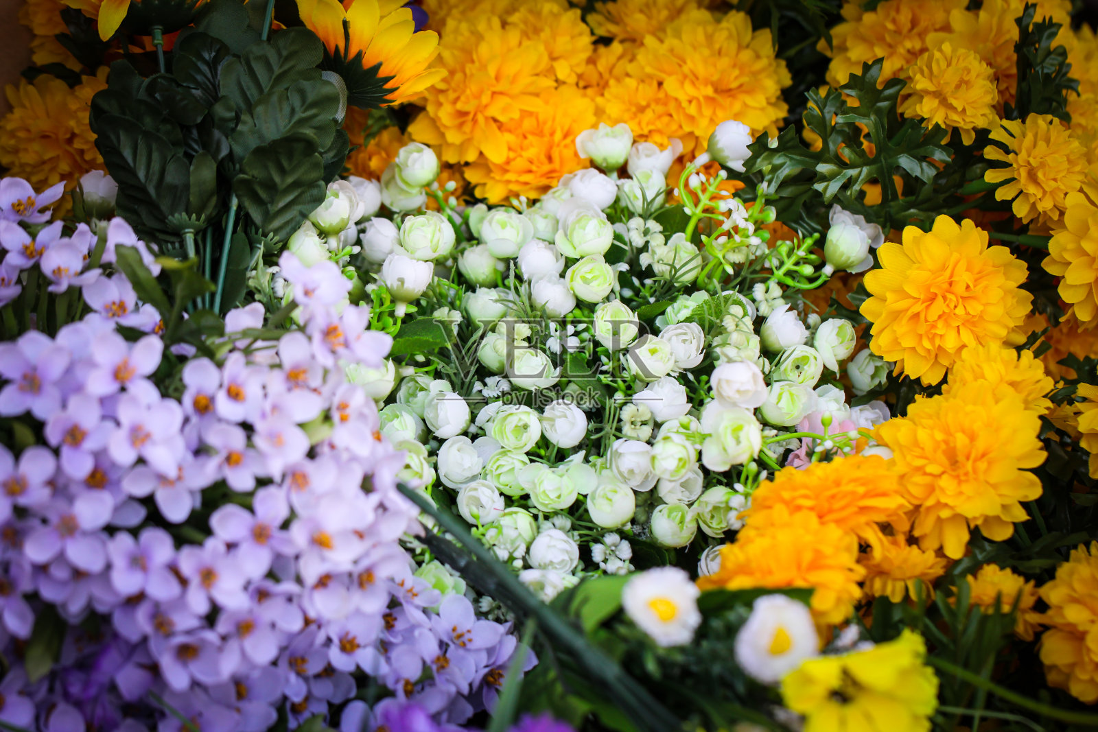 假的花照片摄影图片