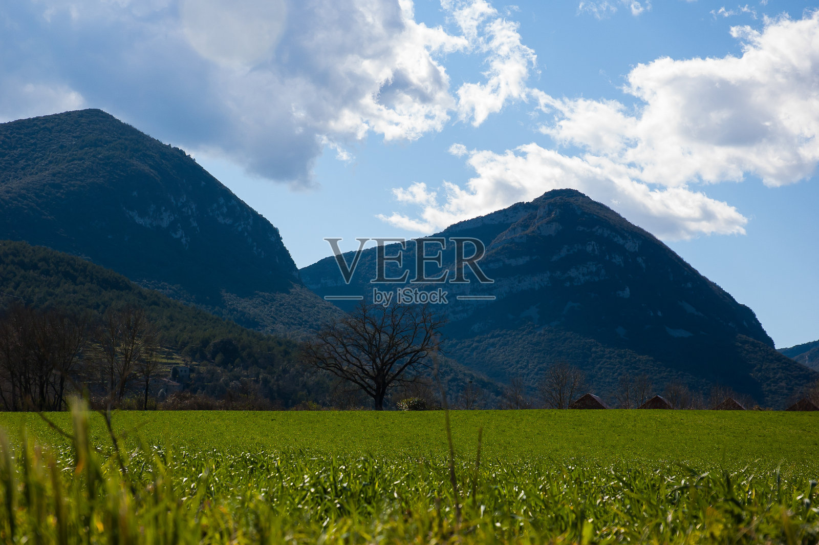 场和山照片摄影图片