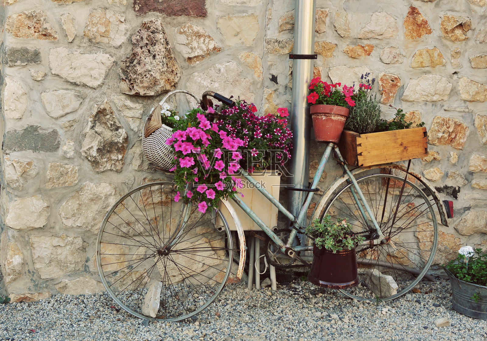 复古的自行车照片摄影图片