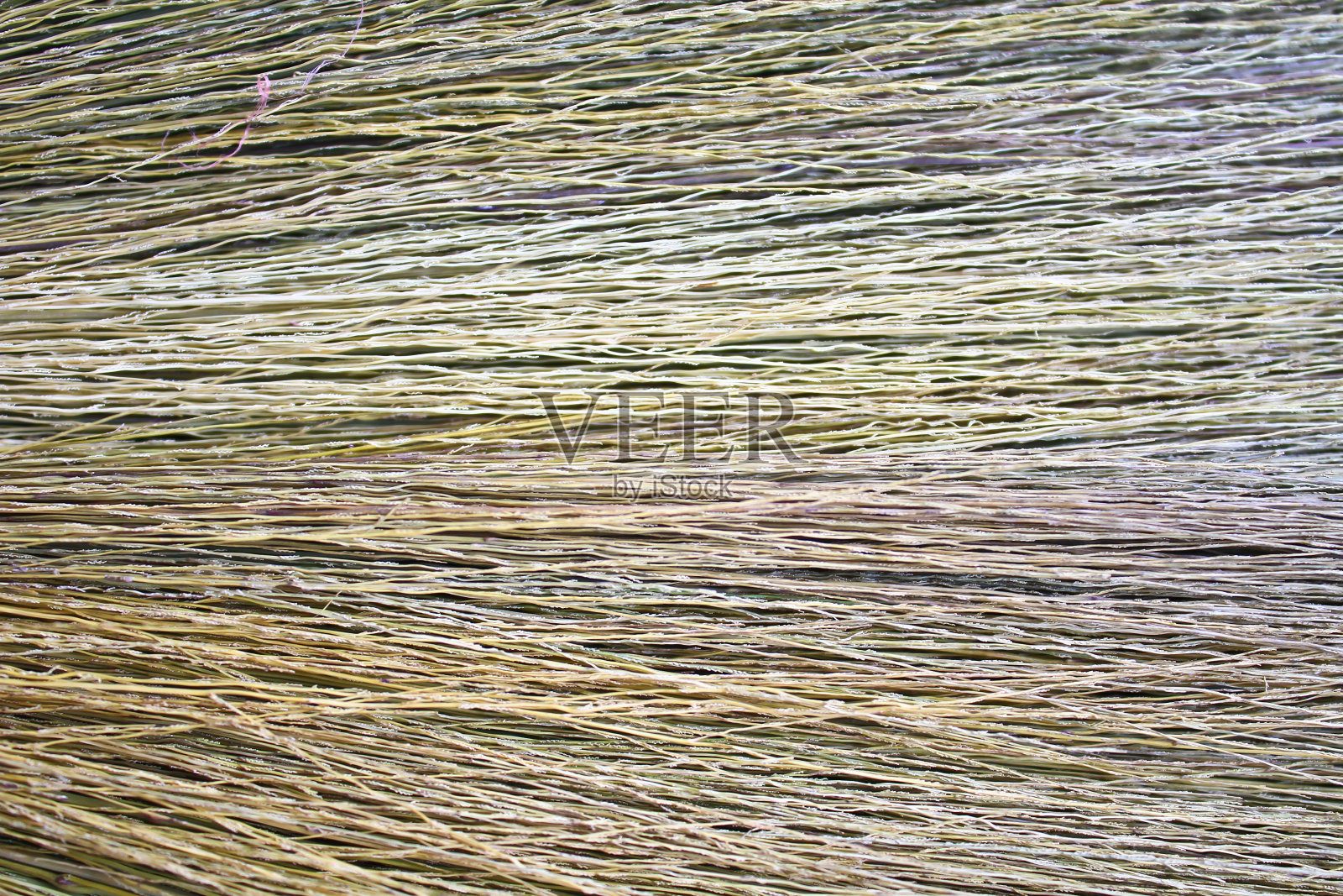 扫帚照片摄影图片