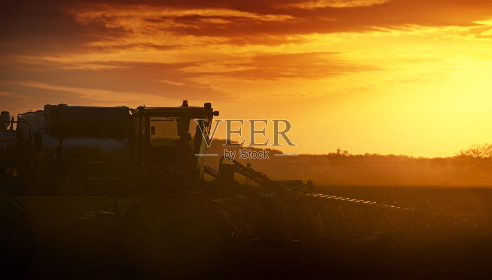 培养在日落照片摄影图片