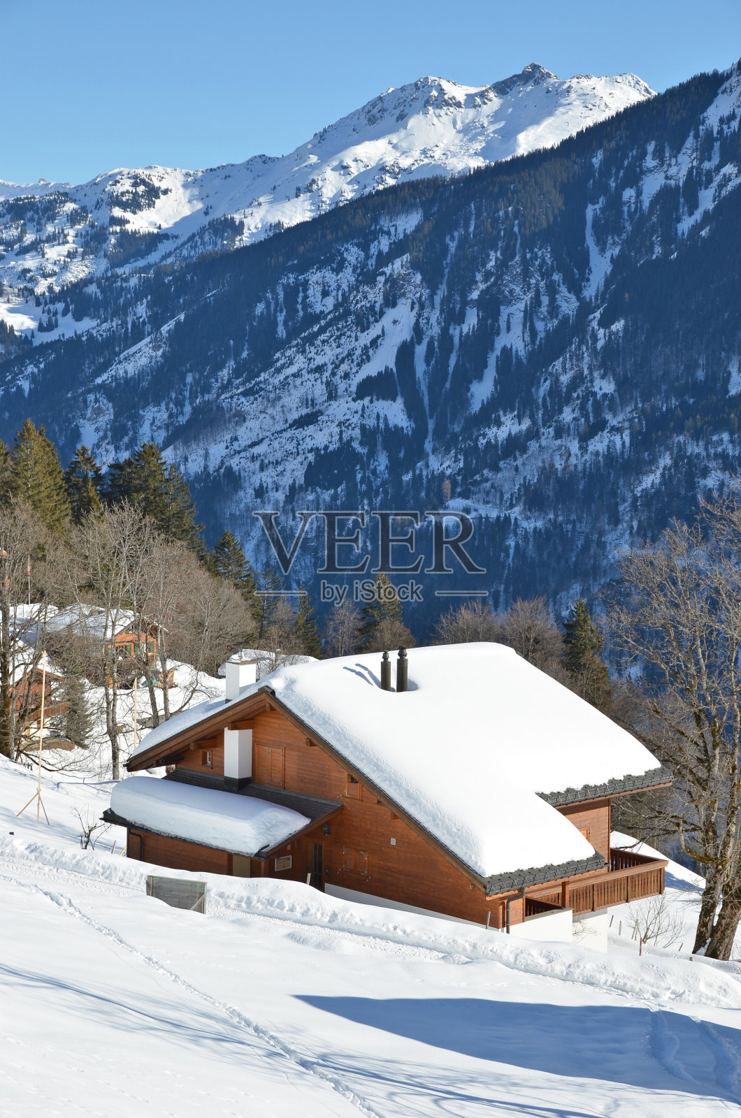 瑞士Braunwald照片摄影图片