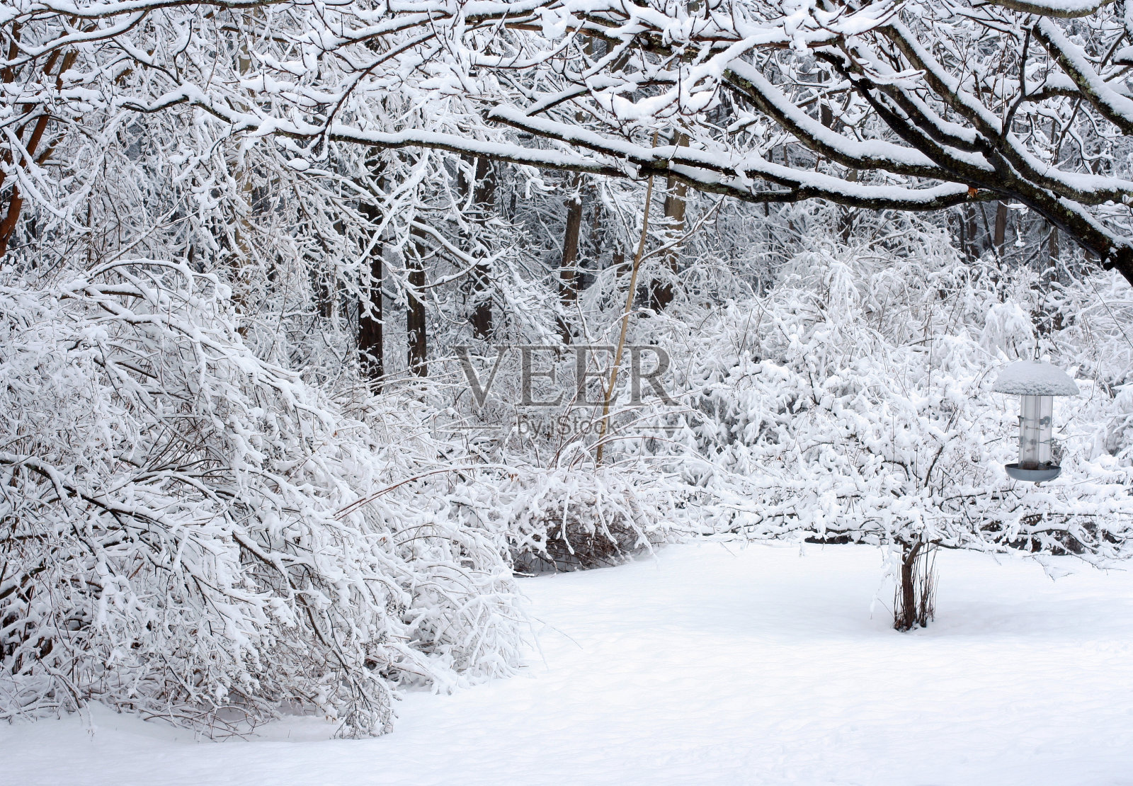 雪的场景照片摄影图片