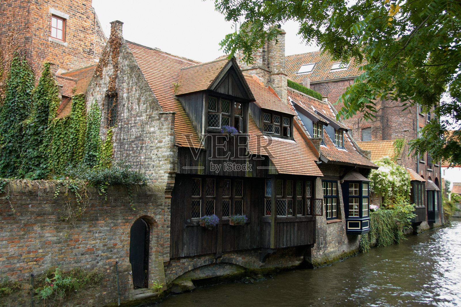 使用照片摄影图片