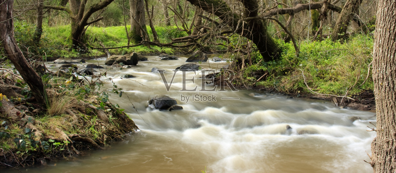 安静的河照片摄影图片