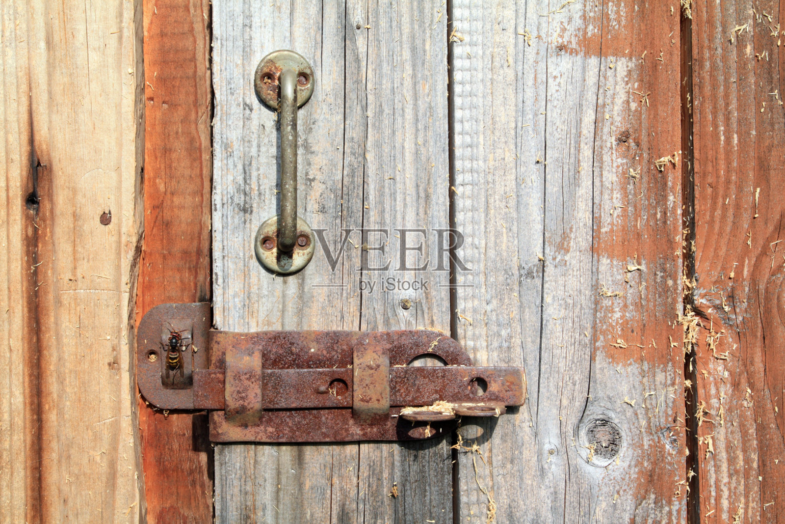 老化的门照片摄影图片