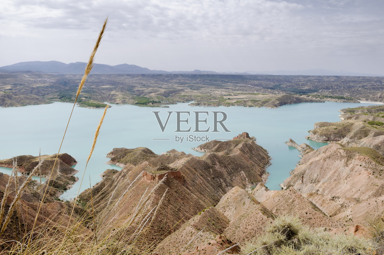 安达卢西亚的沼泽照片摄影图片