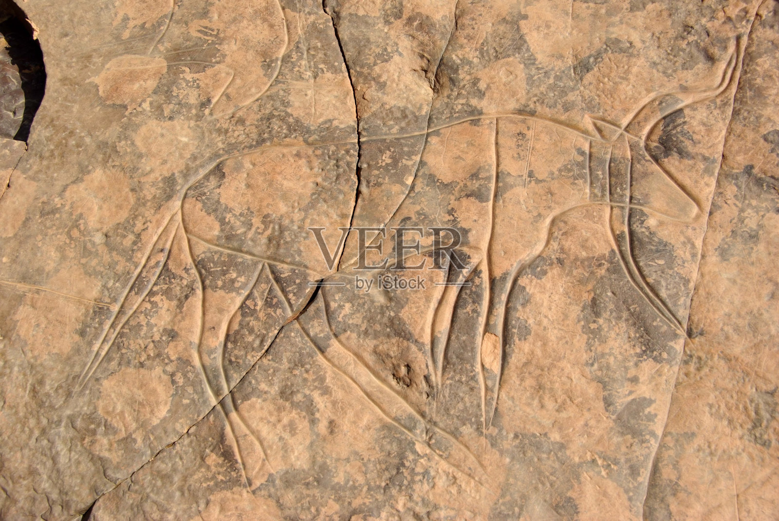 岩石雕刻,利比亚照片摄影图片