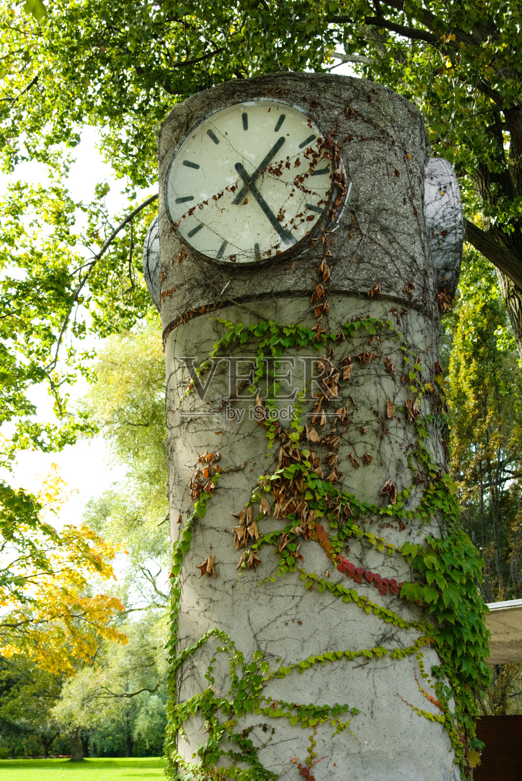 公园的时钟照片摄影图片