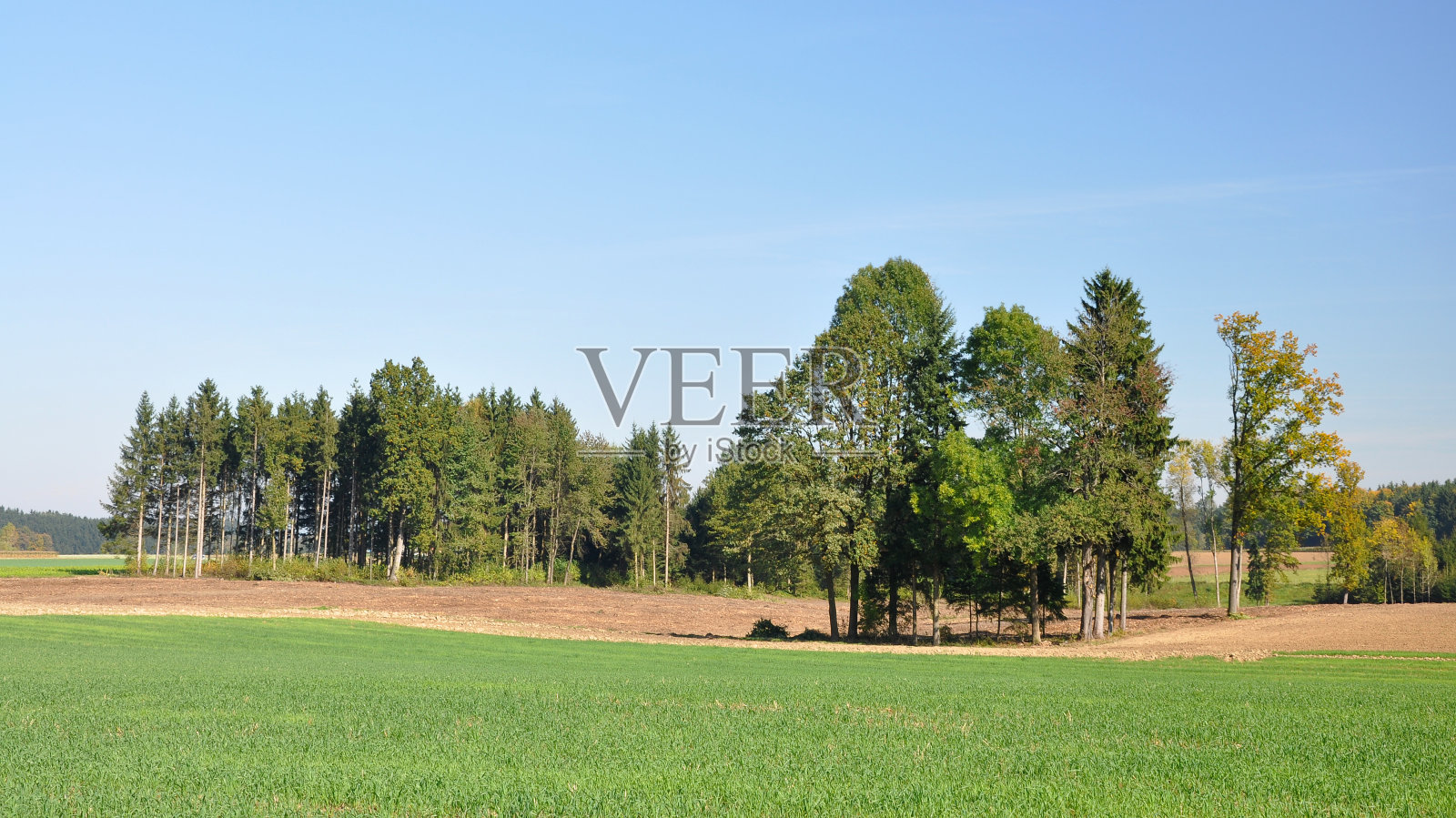 场照片摄影图片