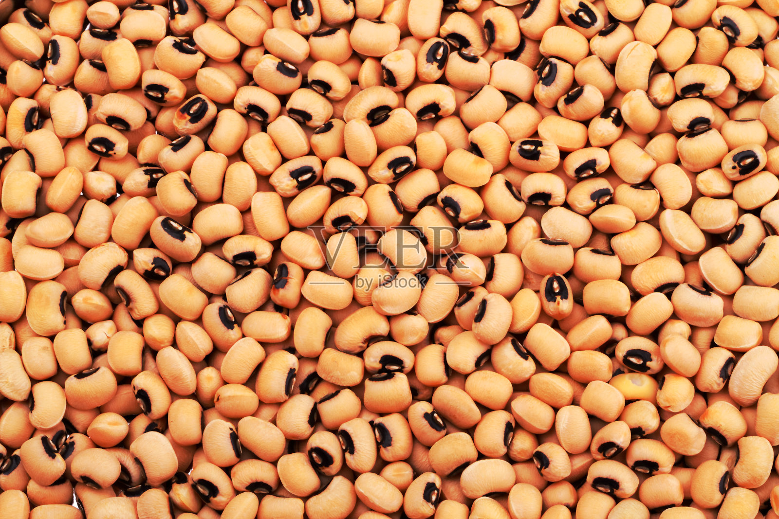 芸豆背景照片摄影图片