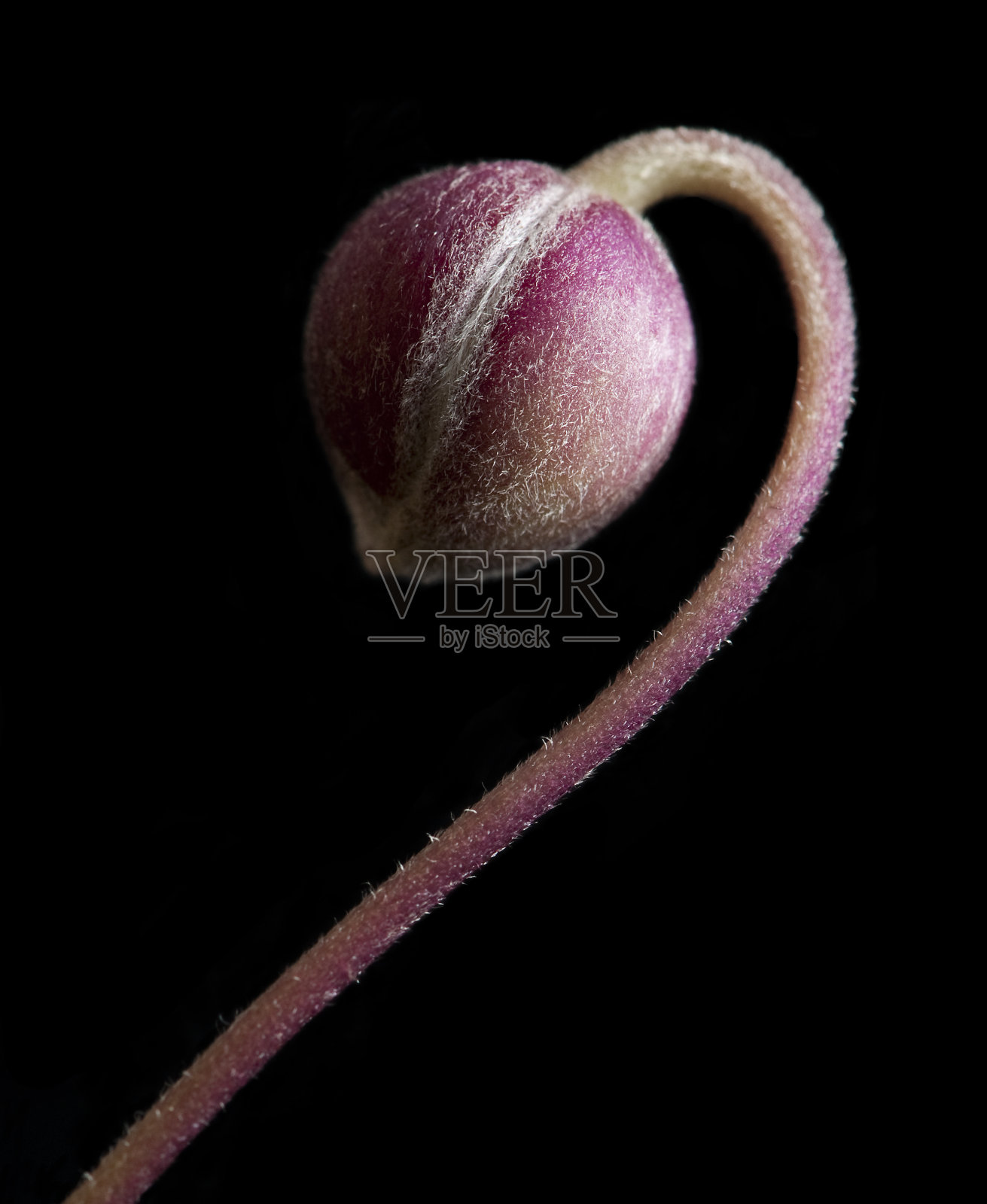 新的开始照片摄影图片