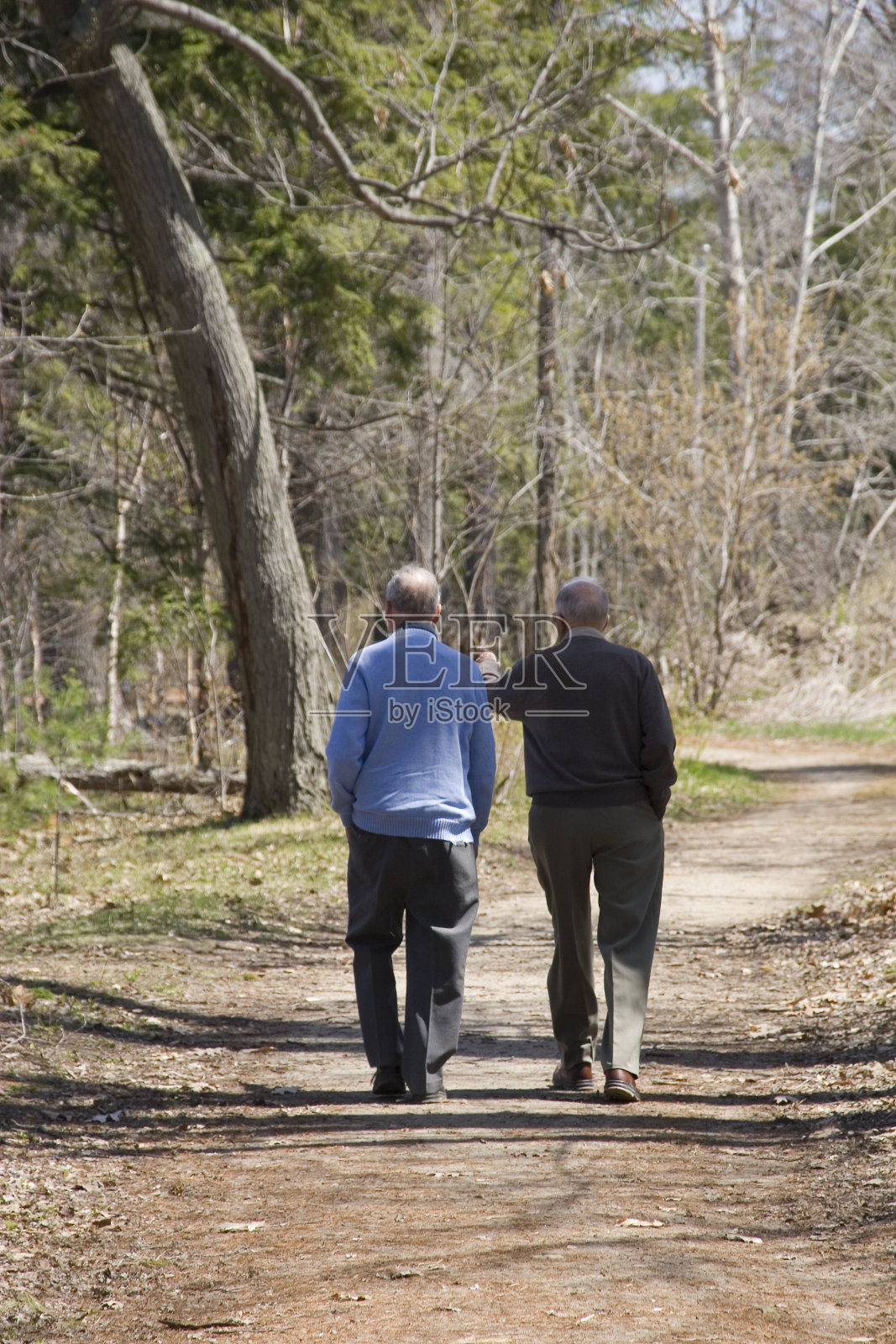 朋友照片摄影图片