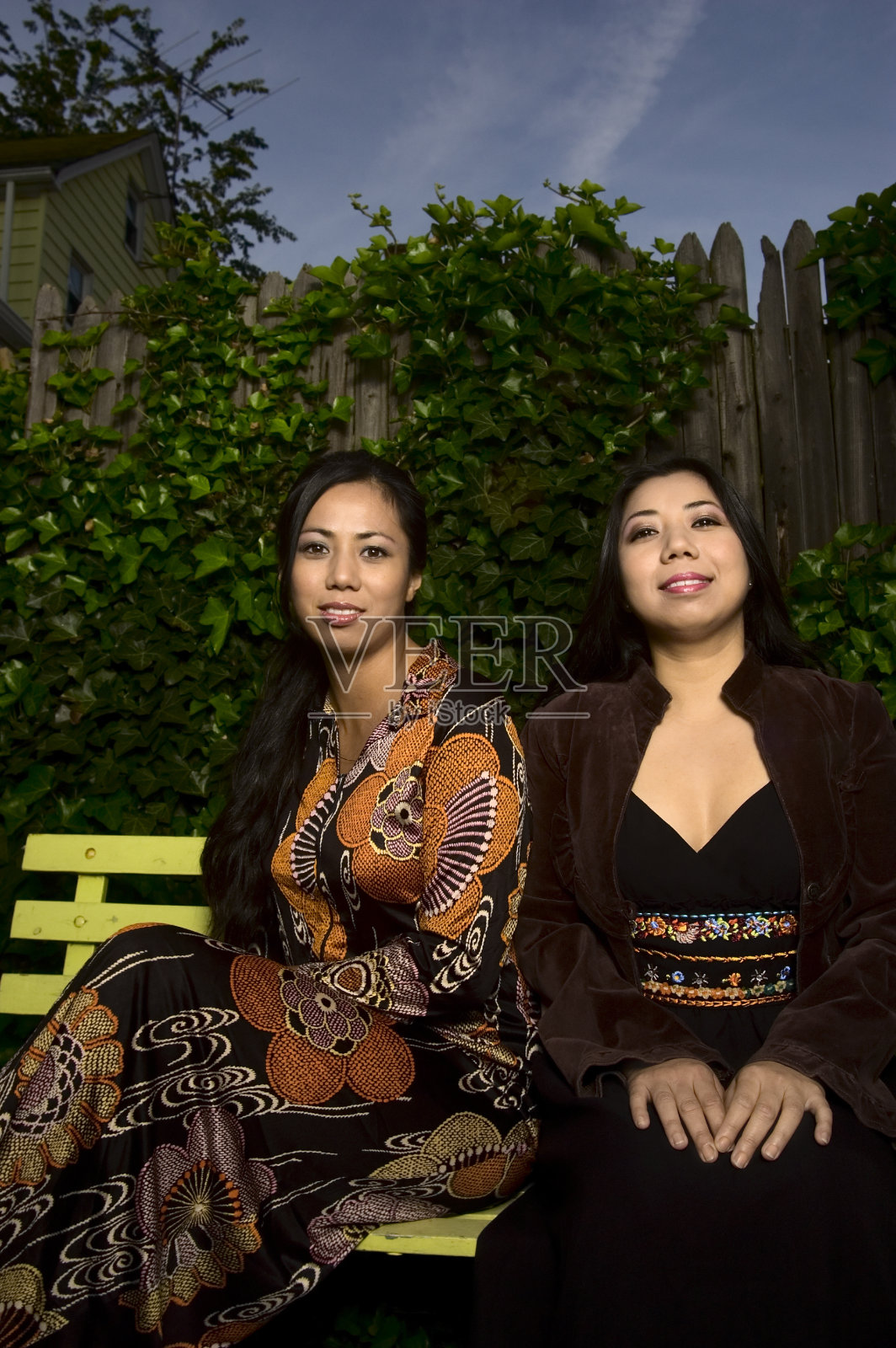 栅栏肖像。照片摄影图片