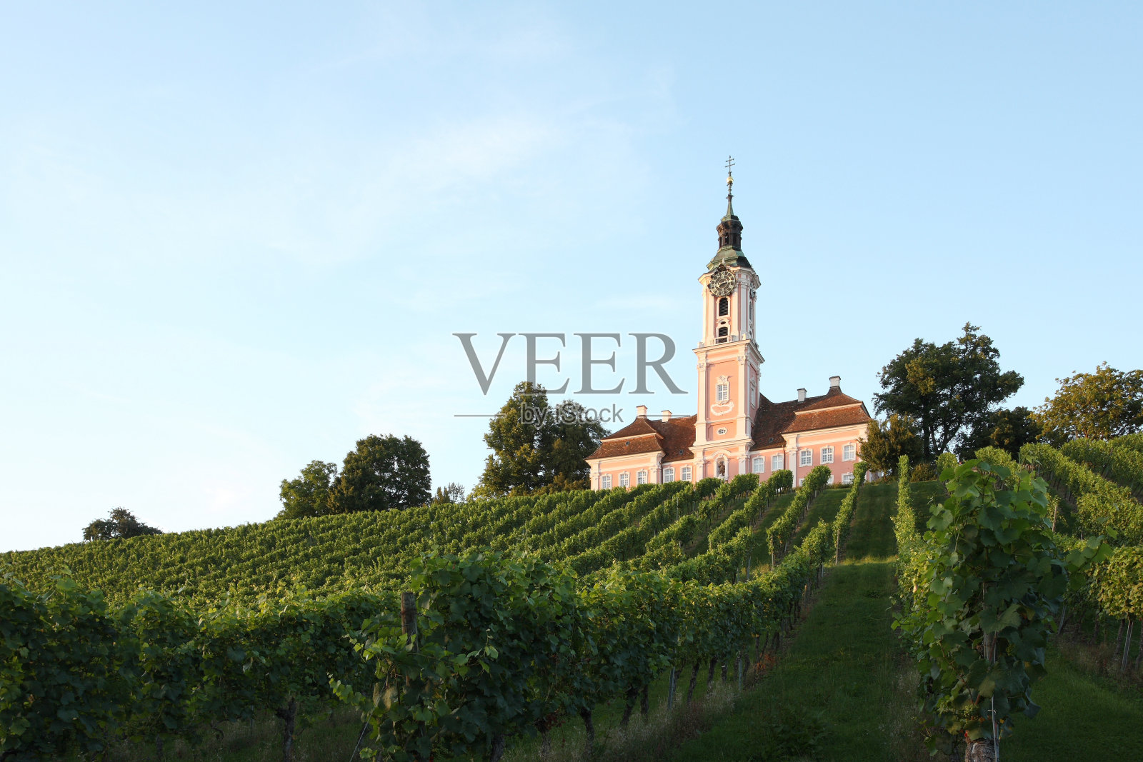 葡萄园里的Church Birnau Green照片摄影图片