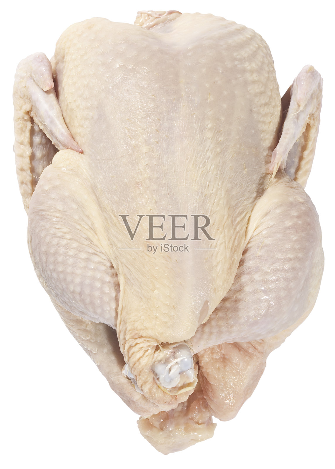 鸡照片摄影图片