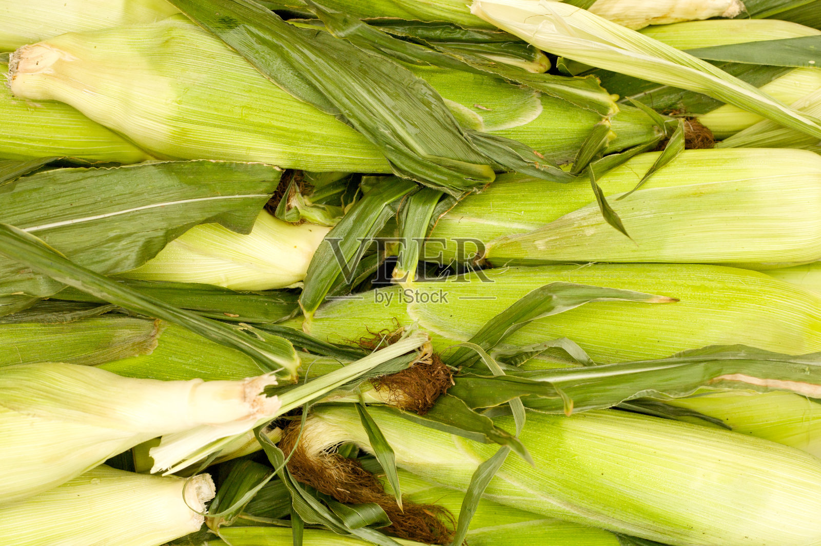 玉米穗照片摄影图片