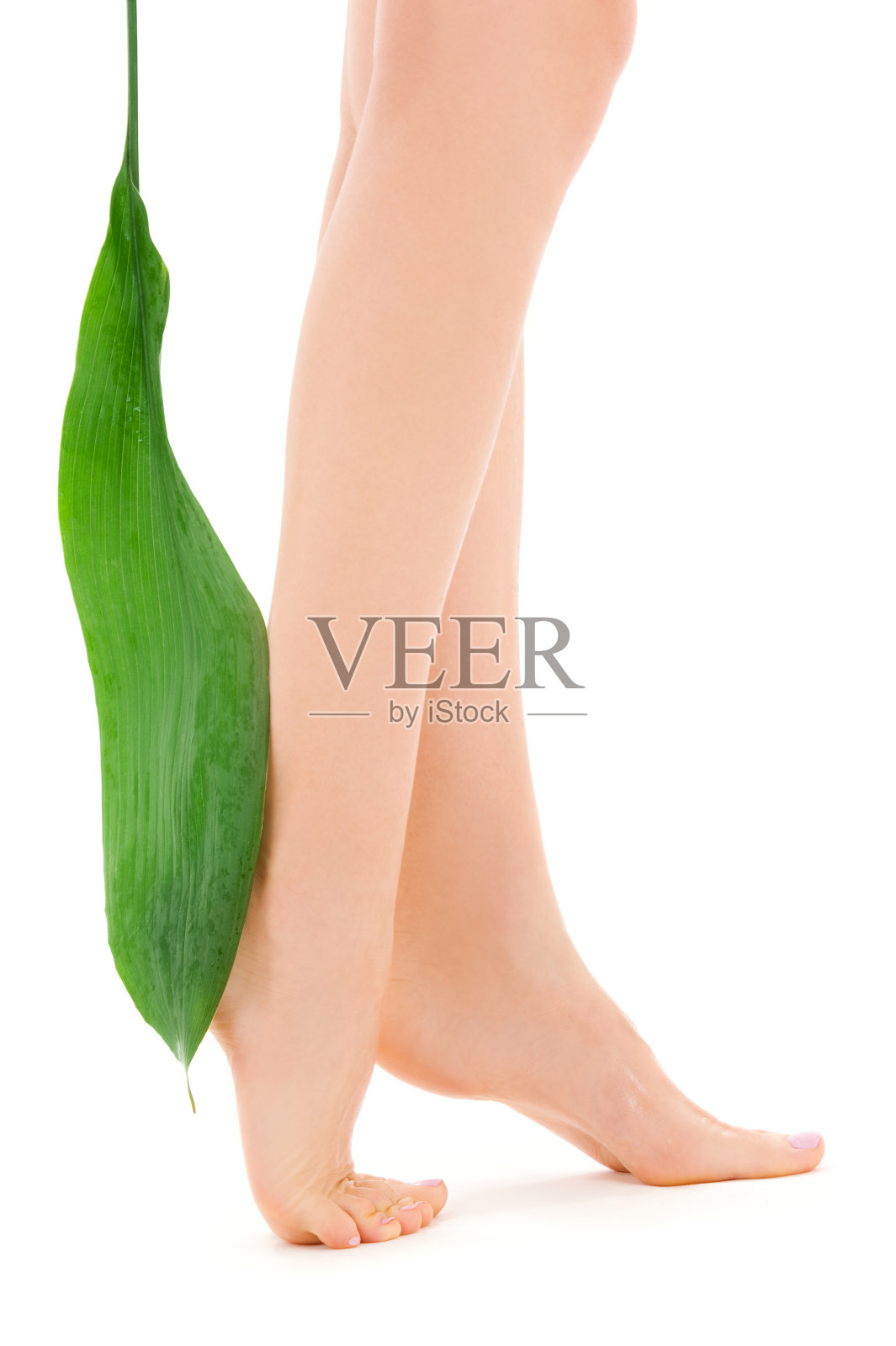 有绿叶的女性腿照片摄影图片