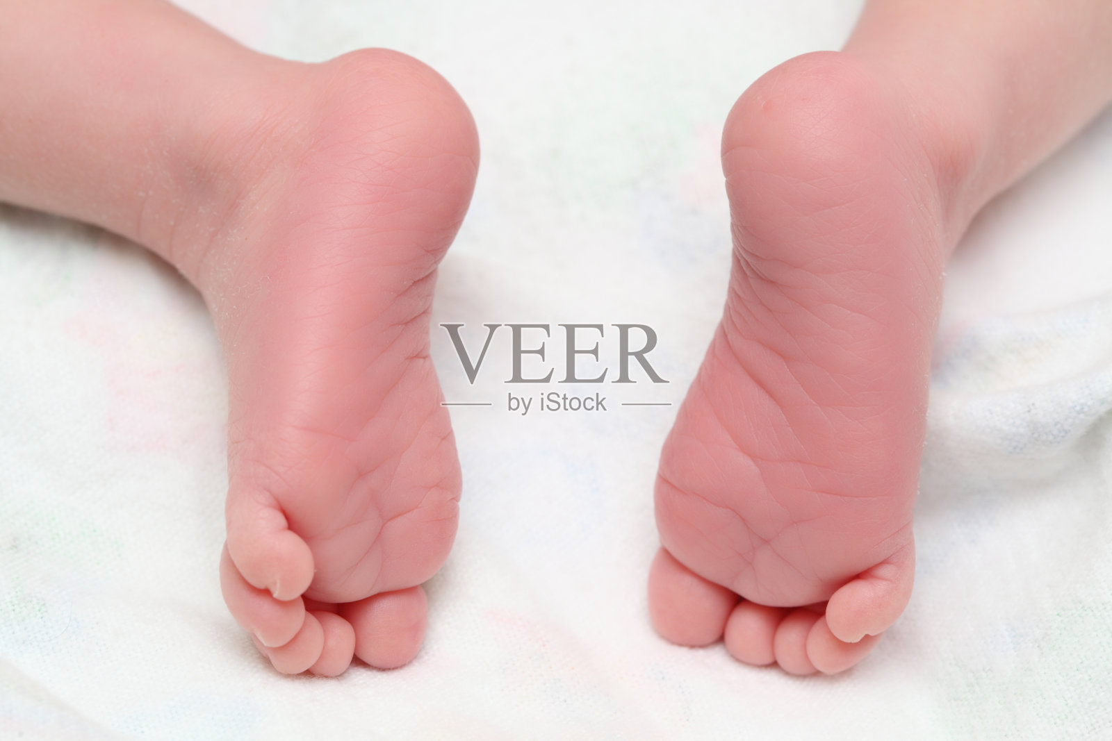 腿刚出生的照片摄影图片