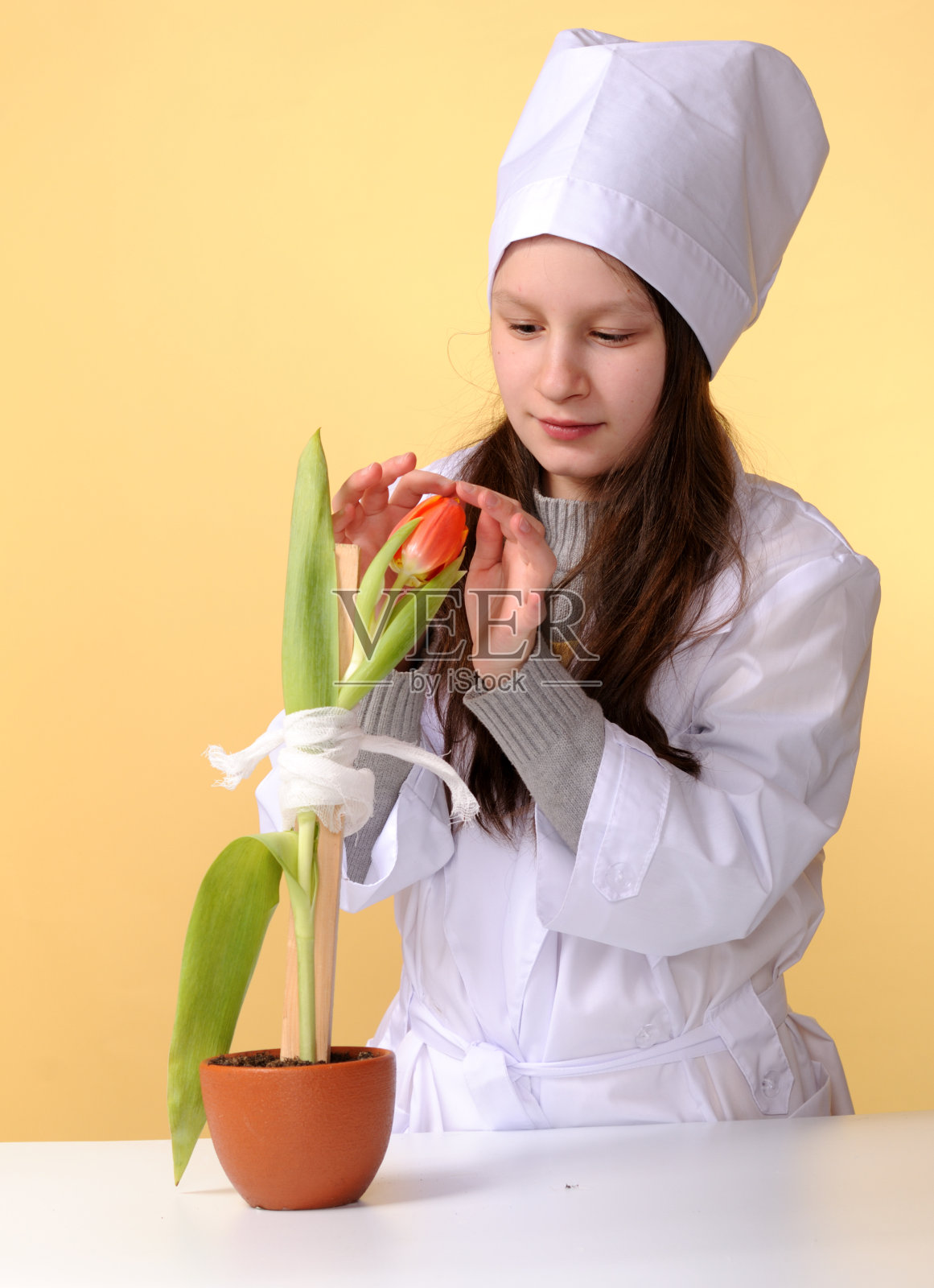 自然保护的概念照片摄影图片