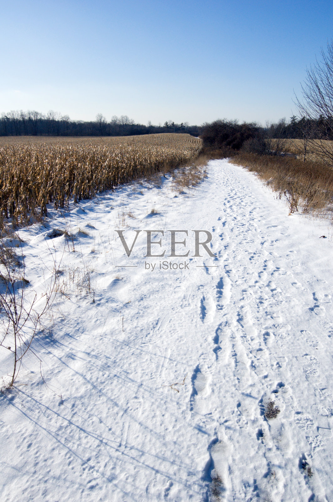 雪道路照片摄影图片