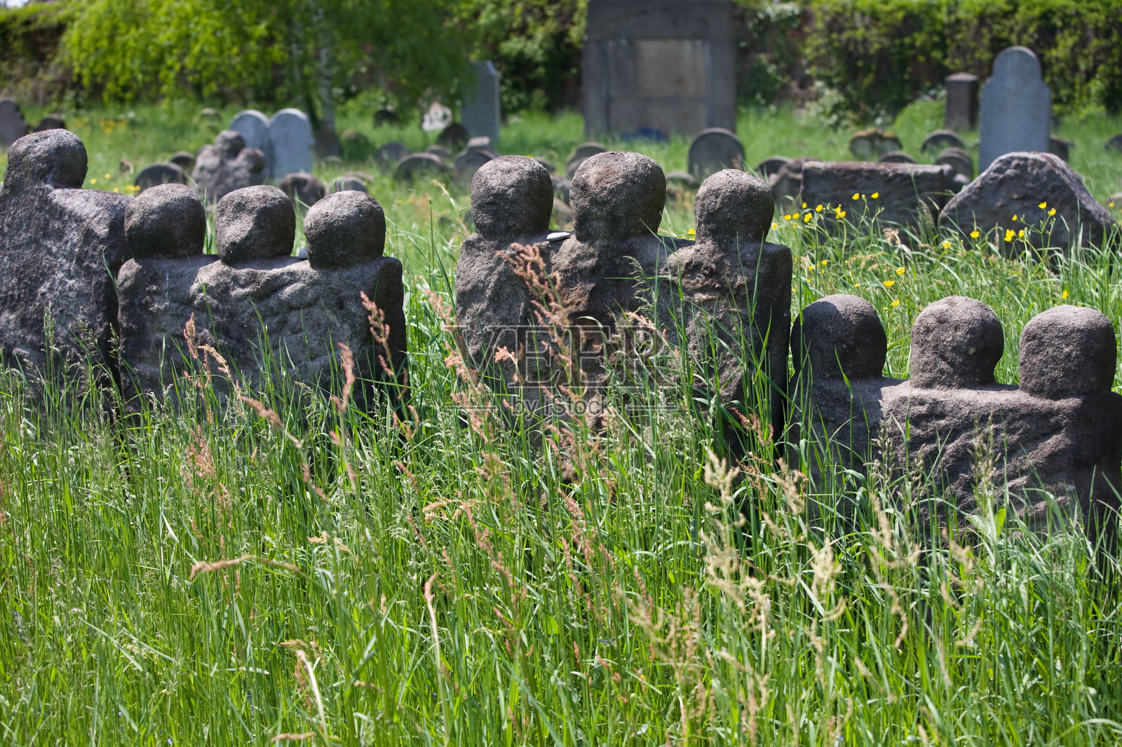 霍里索夫的犹太墓地照片摄影图片