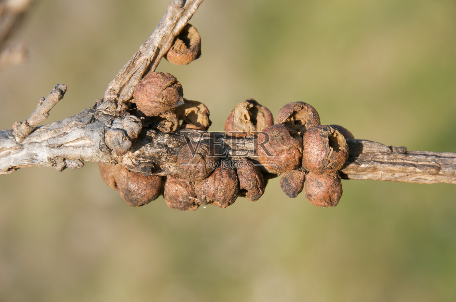 选择结束。照片摄影图片