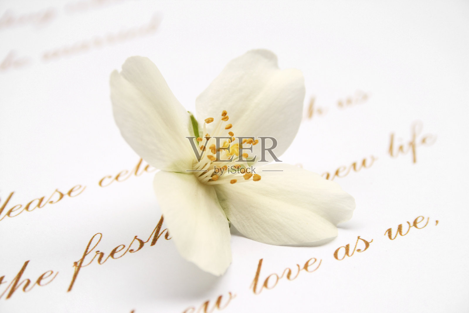 婚礼邀请卡照片摄影图片