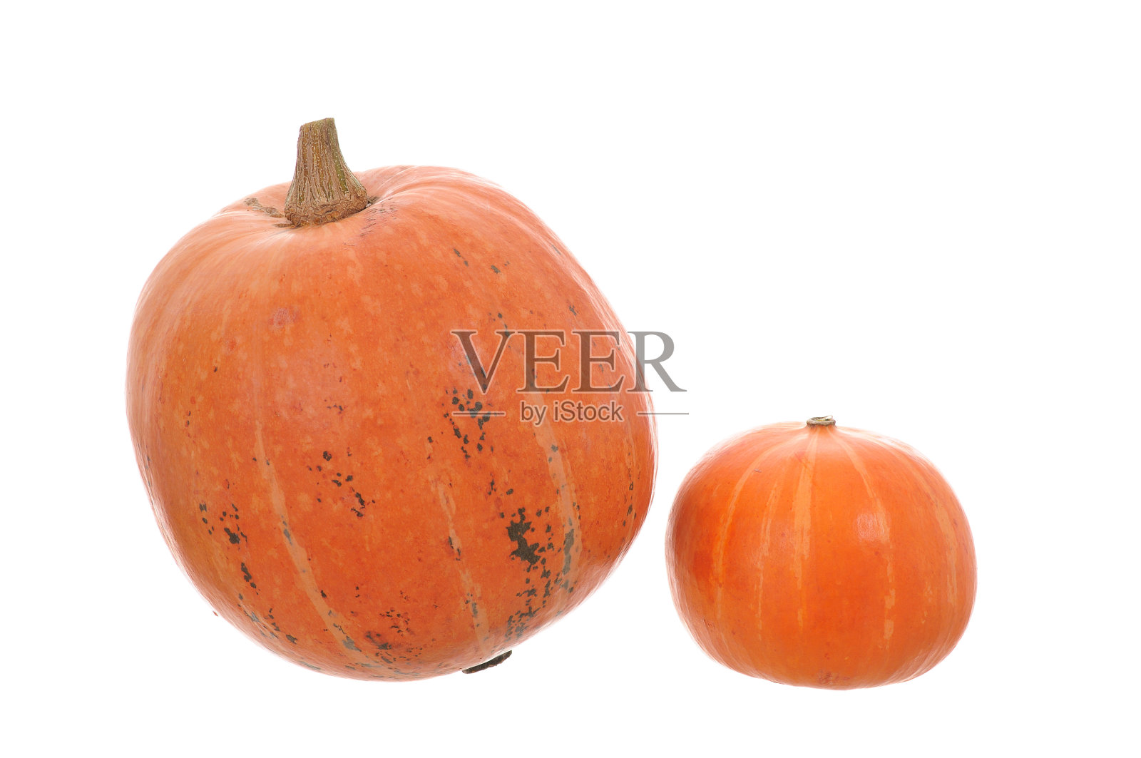 南瓜照片摄影图片