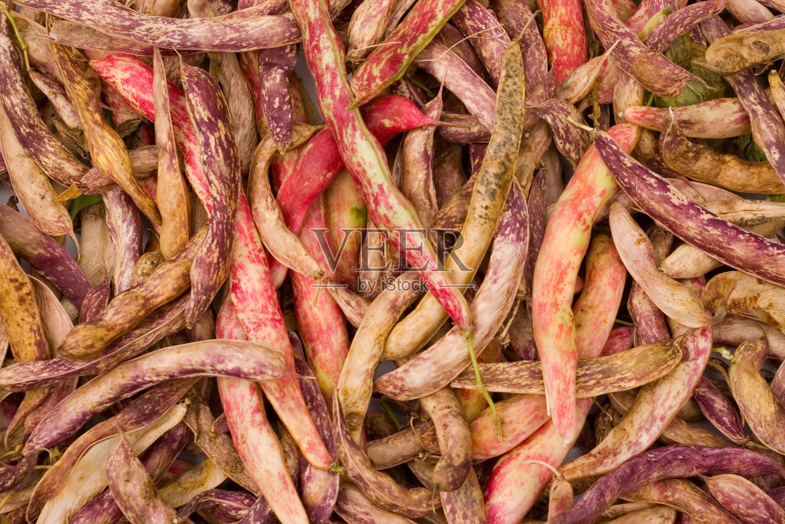 豆类的背景照片摄影图片