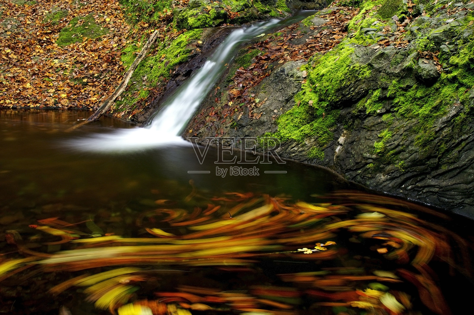 树叶在溪流中漩涡照片摄影图片