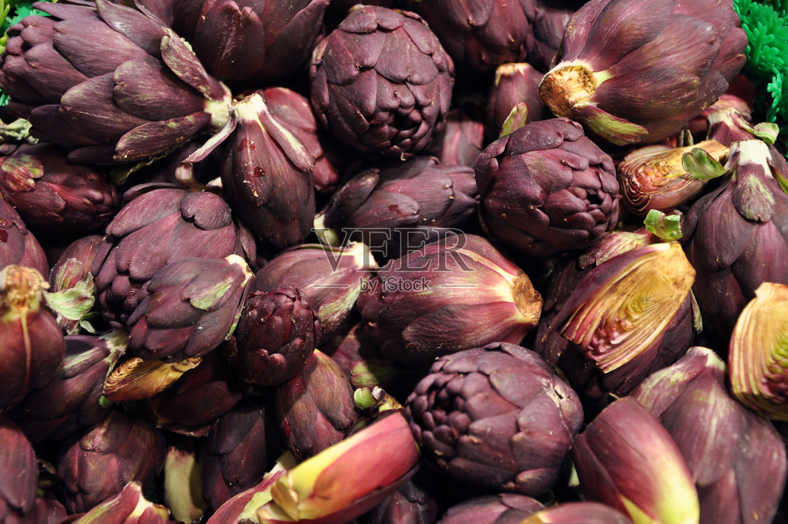 罕见的紫色洋蓟照片摄影图片