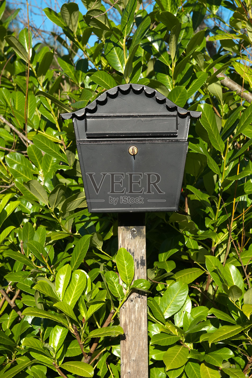 信箱照片摄影图片