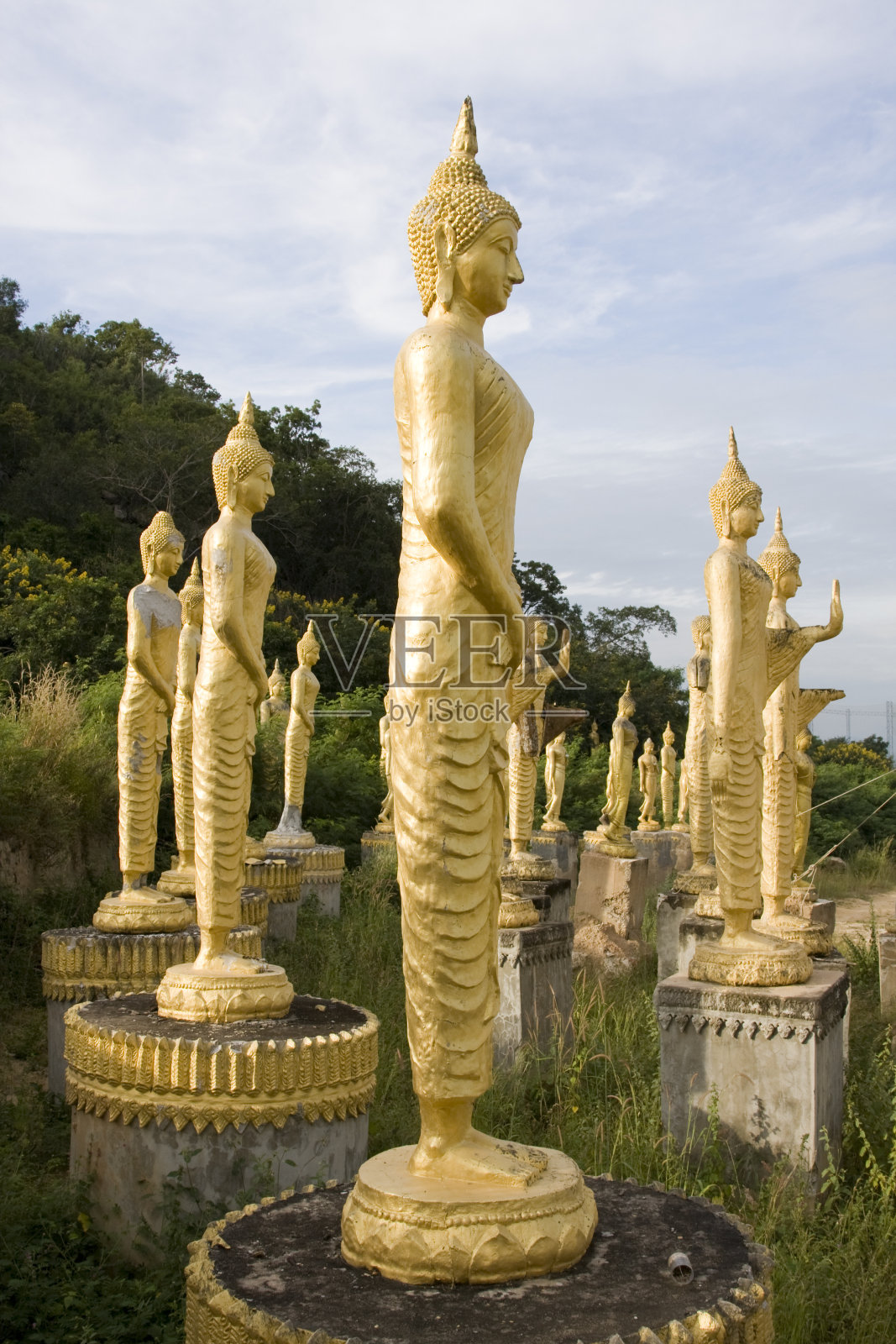 许多佛像照片摄影图片