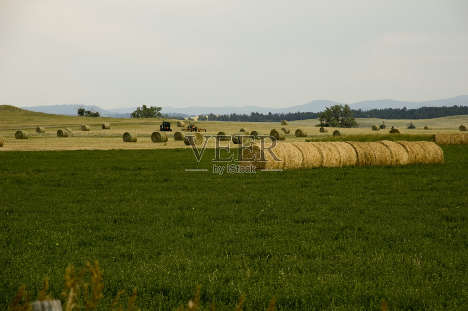 怀俄明州牧场上的干草田照片摄影图片