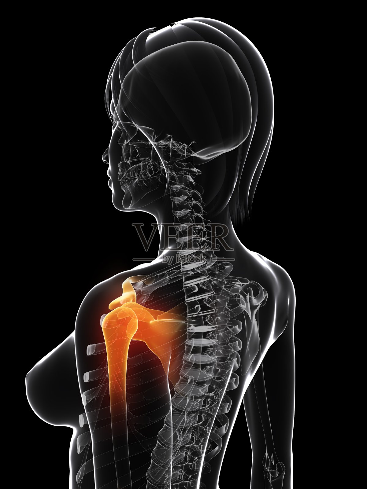 痛苦的肩膀插画图片素材